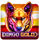 rummy golds download