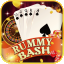 rummy bhart icon
