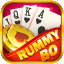 rummy bus